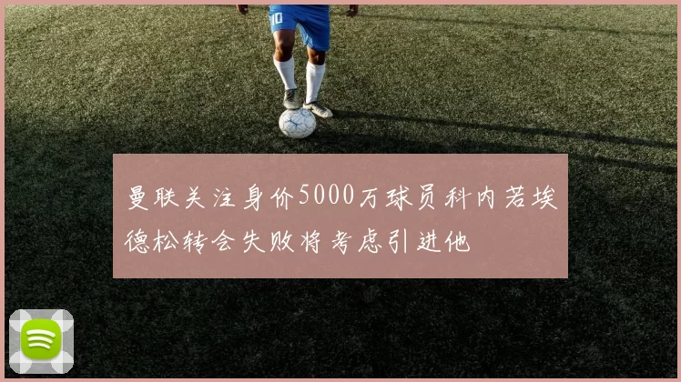 曼联关注身价5000万球员科内若埃德松转会失败将考虑引进他